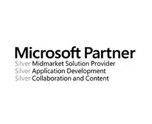 microsoft-partner.png