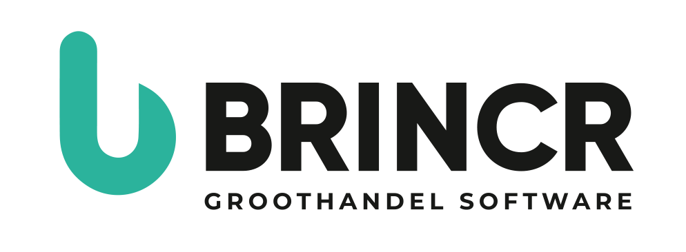 Brincr logo-4.png